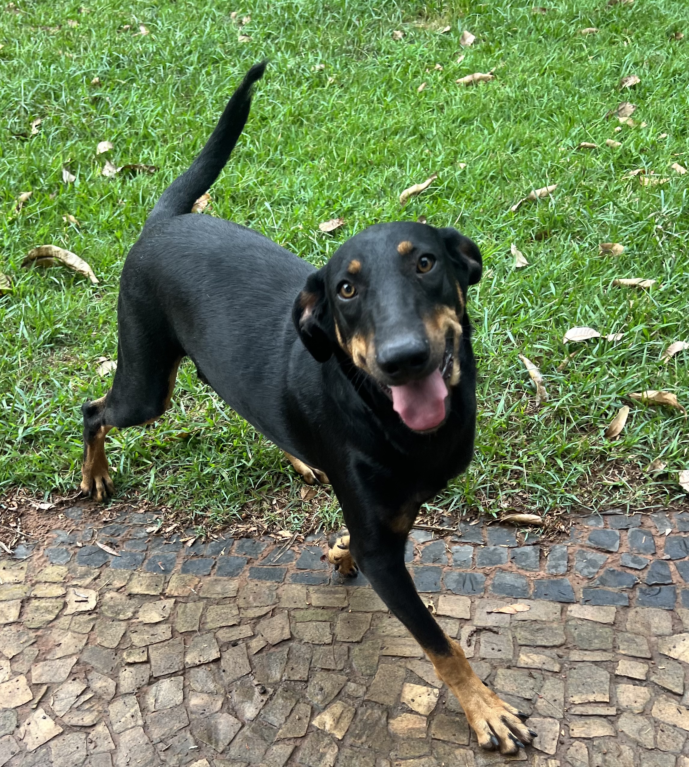 Vitorio