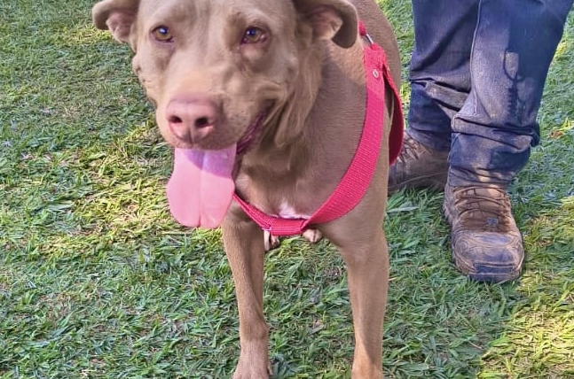 Athena