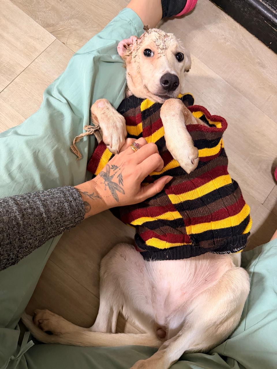 Peteca